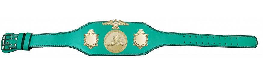 JIU JITSU CHAMPIONSHIP BELT-BUD004/G/JJG-4 COLOURS
